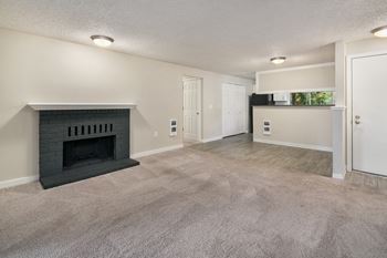 Wood-burning fireplace