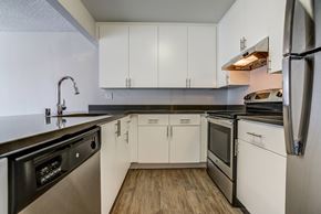 San Jose apartment for rent - Alterra Kitchen