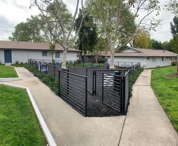 Dog park