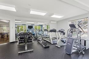 Bloomfield apartment for rent - A gym with treadmills, weights, and exercise machines.