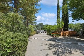Paso Robles apartment for rent - A tree-lined street with a car parked on the side.