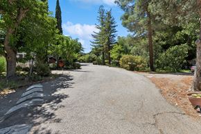 Paso Robles apartment for rent - A tree-lined street with a white line on the side.