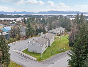 Homer apartment for rent - A view of a residential area with houses and trees.