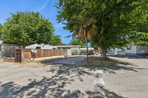 Paso Robles apartment for rent - A tree in a yard with a fence and a house in the background.