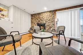 Anchorage apartment for rent - A living room with a stone fireplace and a grey rug.