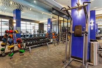 State-of-the-art fitness center & yoga studio