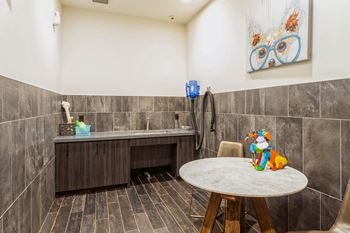 Dog washing station