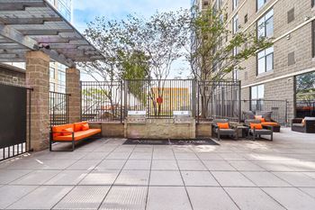 Bbq/picnic area
