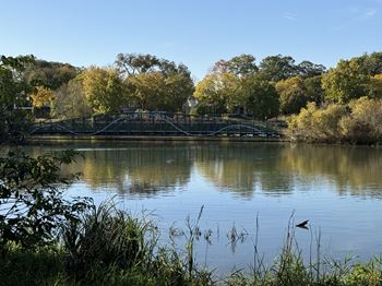 Walking distance to lake harriet