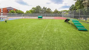 Dog park