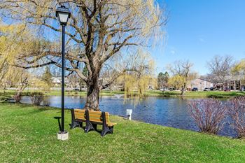 Scenic pond