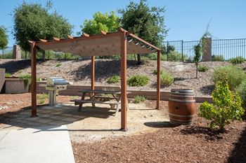 Barbecue and picnic area