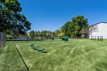 Dog park