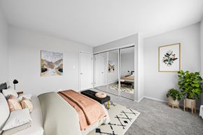 North Aurora apartment for rent - A bedroom with a bed, a couch, a rug, and a plant.