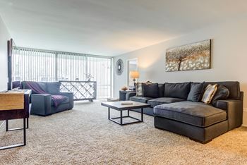 Floor to ceiling windows