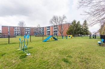 Bark park