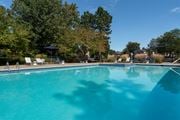 Farmington Hills apartment for rent - Sparkling Pool at Ascent at Farmington Hills, Farmington Hills, 48331