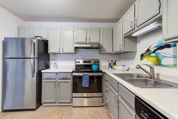 Stainless steel appliances*
