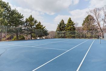 Tennis court