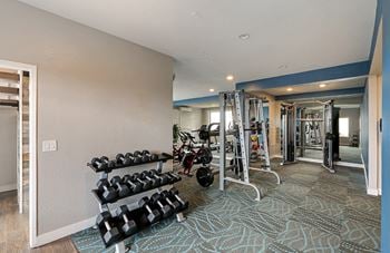 Free weights