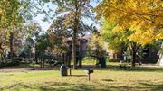 Eden Prairie apartment for rent - Lush Green Outdoor at ReNew at Neill Lake, Eden Prairie, Minnesota