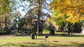 Eden Prairie apartment for rent - Lush Green Outdoor at ReNew at Neill Lake, Eden Prairie, Minnesota
