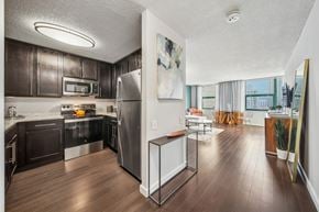 Chicago apartment for rent - A modern kitchen with dark wood cabinets and stainless steel appliances.
