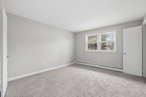 Vernon apartment for rent - A room with a carpeted floor and a window showing trees outside.