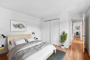 Burlington apartment for rent - A bedroom with a large bed and a plant on the side table.