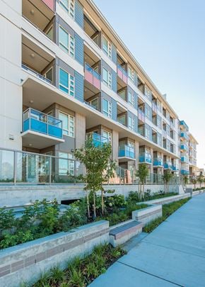 Richmond apartment for rent - A modern apartment building with balconies and plants in front.