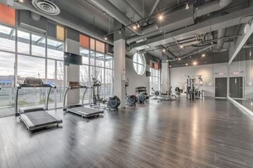 Richmond apartment for rent - A gym with treadmills, exercise bikes, and weights.