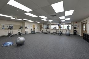 Vancouver apartment for rent - A gym with a variety of equipment including a blue exercise ball and a silver medicine ball.