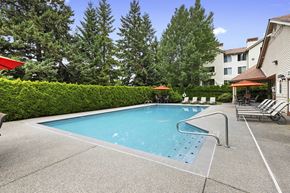 Puyallup apartment for rent - A swimming pool surrounded by trees and a building.