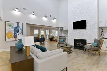 Charlotte apartment for rent - a living room with furniture and a fireplace