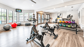 Duluth apartment for rent - Apartments in Duluth, GA, with In-Unit Washer and Dryer - The Eclipse - Fitness Center With Stationary Bikes, Weight Racks, Exercise Balls, and Large Windows.