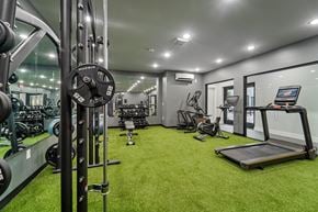 Newark apartment for rent - A gym with a green carpet and various exercise equipment.