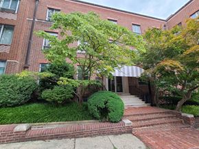 Baltimore apartment for rent - A red brick building with a tree in front of it.