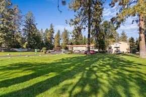 Spokane apartment for rent - A sunny day in a park with trees and a building in the background.