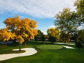 Spokane Valley apartment for rent - A tree with yellow leaves is in the middle of a grassy area.