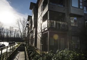 Port Coquitlam apartment for rent - a row of apartment buildings on a sunny day