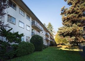 Burnaby apartment for rent - a large grassy area in front of an apartment building