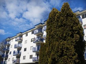 Esquimalt apartment for rent - a large tree in front of an apartment building