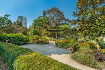 Park/garden