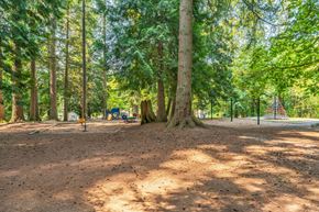 Burnaby apartment for rent - A playground in a forest with a swing set and a slide.