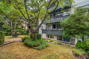 Victoria apartment for rent - A tree in a yard in front of a building.