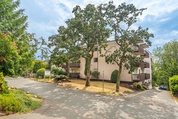 Victoria apartment for rent - A large tree in front of a building with a sign in front of it.