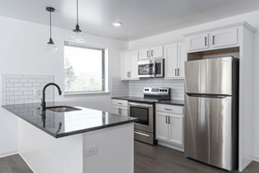 Philadelphia apartment for rent - Kitchen Finishes