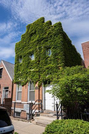 Chicago apartment for rent - a house covered in ivy in front of a blue sky