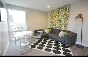 Chicago apartment for rent - Livingroom
