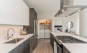 Chicago apartment for rent - a kitchen with a stove and a sink